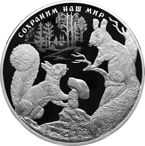 Белка обыкновенная